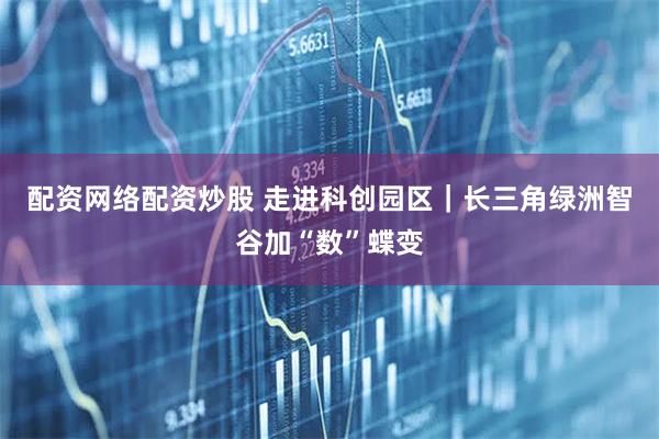 配资网络配资炒股 走进科创园区｜长三角绿洲智谷加“数”蝶变