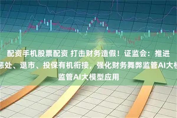 配资手机股票配资 打击财务造假！证监会：推进发现、惩处、退市、投保有机衔接，强化财务舞弊监管AI大模型应用
